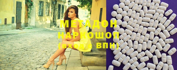 индика Няндома