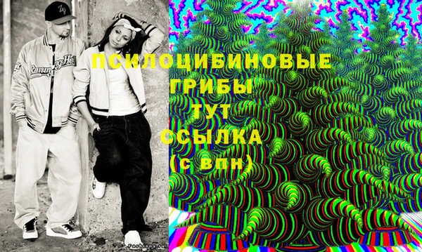 PSILOCYBIN Нягань